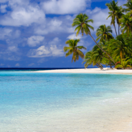 snorkeling in the Caribbean Sea Antiguya